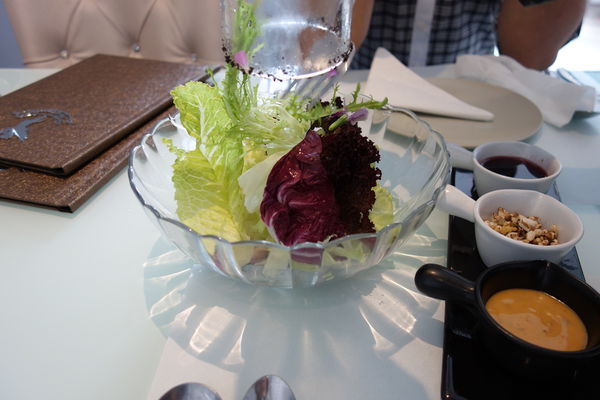 DSC08512.JPG DSC08512.JPG