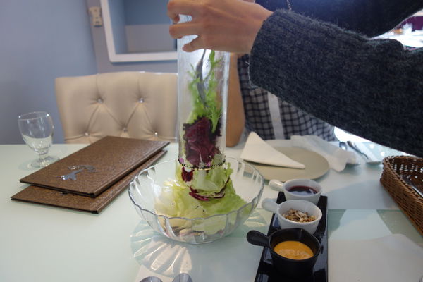 DSC08511.JPG DSC08511.JPG