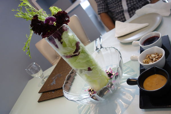 DSC08506.JPG DSC08506.JPG