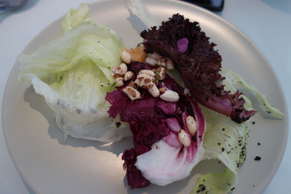 DSC08518.JPG DSC08518.JPG