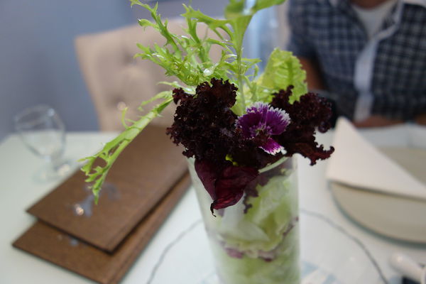 DSC08507.JPG DSC08507.JPG