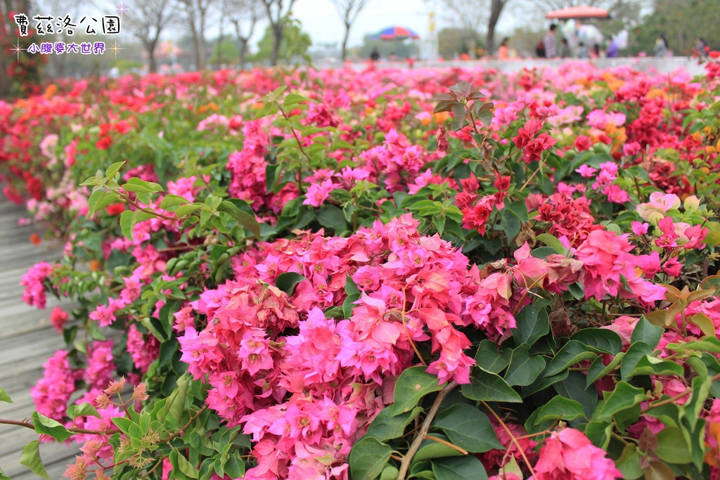 照片 258.jpg 照片 258.jpg