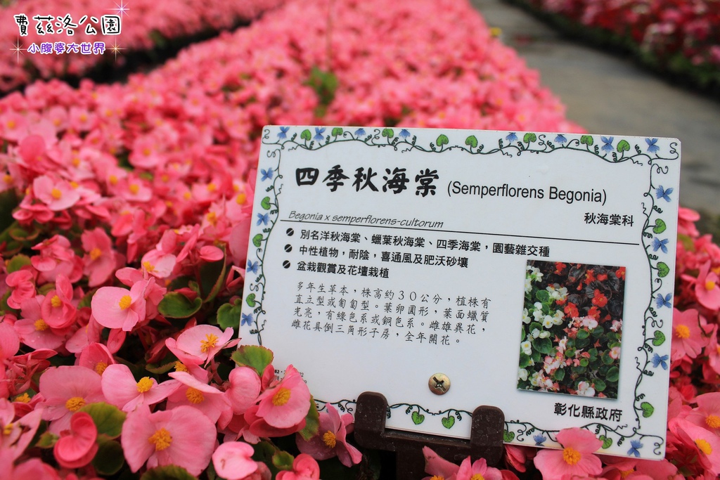 照片 238.jpg 照片 238.jpg