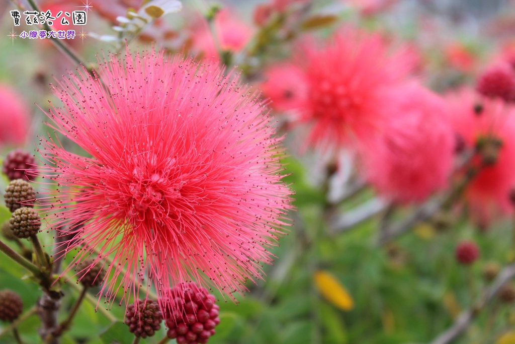 照片 281.jpg 照片 281.jpg