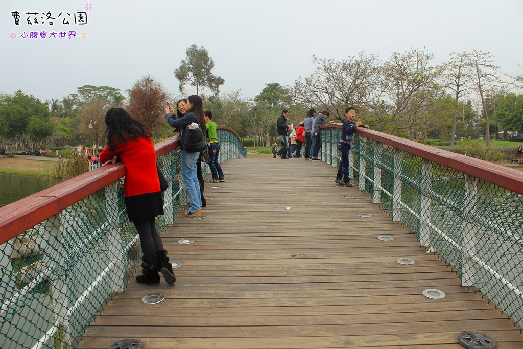 照片 295.jpg 照片 295.jpg