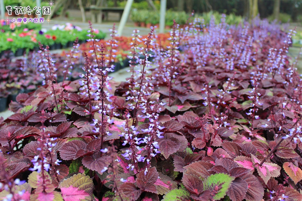 照片 211.jpg 照片 211.jpg