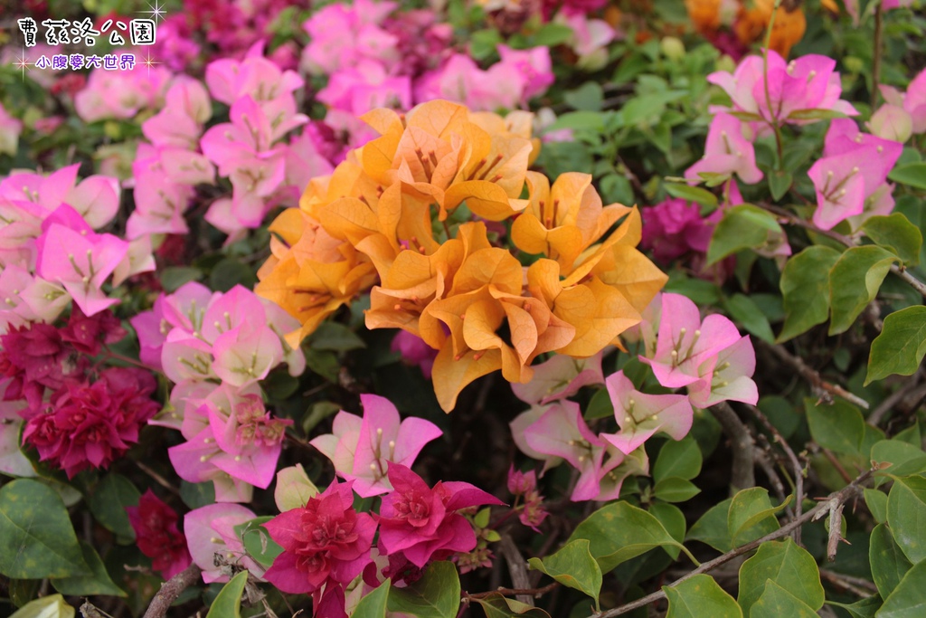 照片 268.jpg 照片 268.jpg