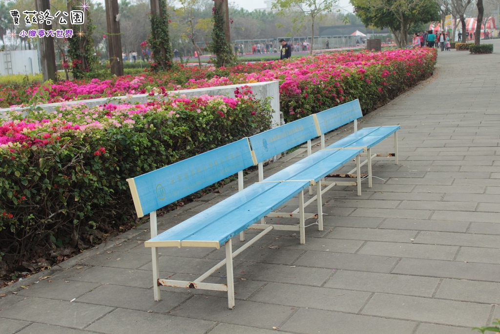 照片 269.jpg 照片 269.jpg