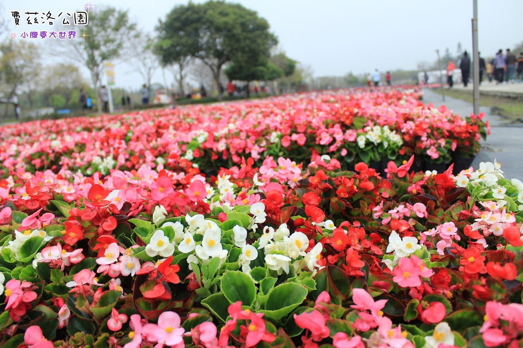 照片 216.jpg 照片 216.jpg