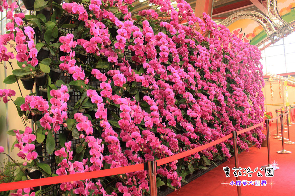 照片 173.jpg 照片 173.jpg