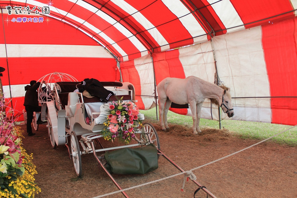 照片 198.jpg 照片 198.jpg