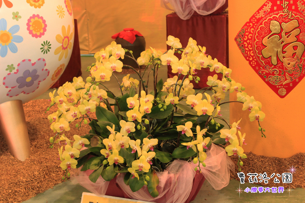 照片 148.jpg 照片 148.jpg