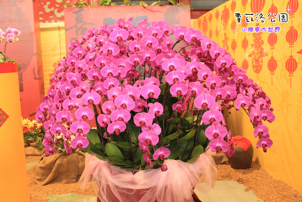 照片 147.jpg 照片 147.jpg