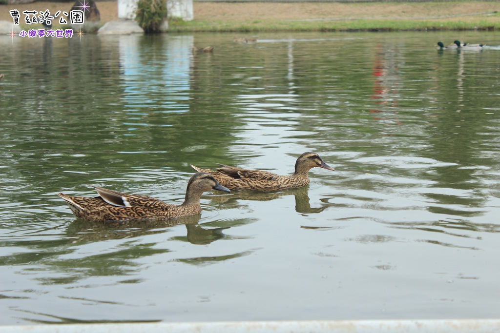 照片 292.jpg 照片 292.jpg