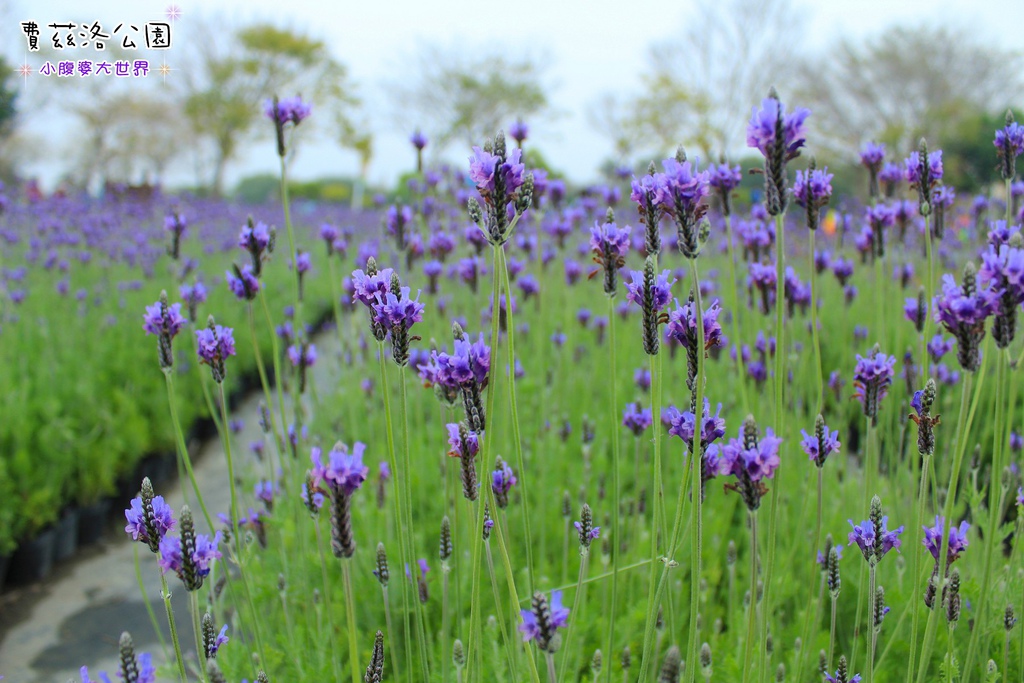 照片 247.jpg 照片 247.jpg