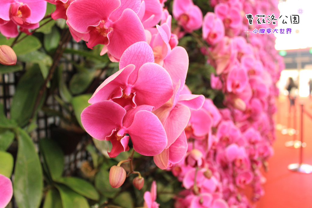 照片 174.jpg 照片 174.jpg