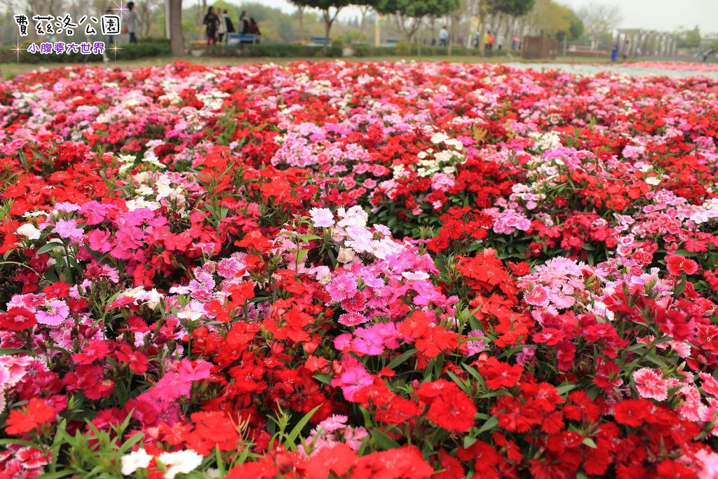 照片 227.jpg 照片 227.jpg