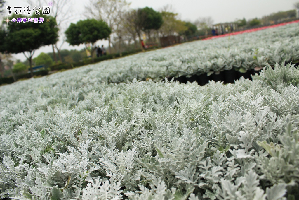 照片 233.jpg 照片 233.jpg