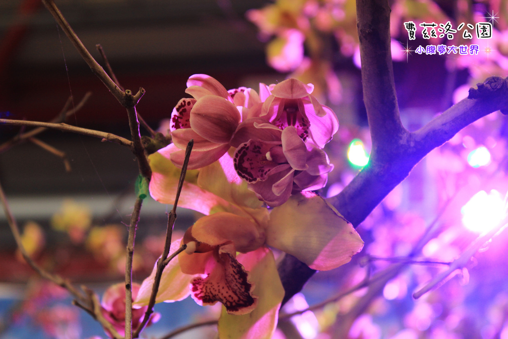 照片 163.jpg 照片 163.jpg