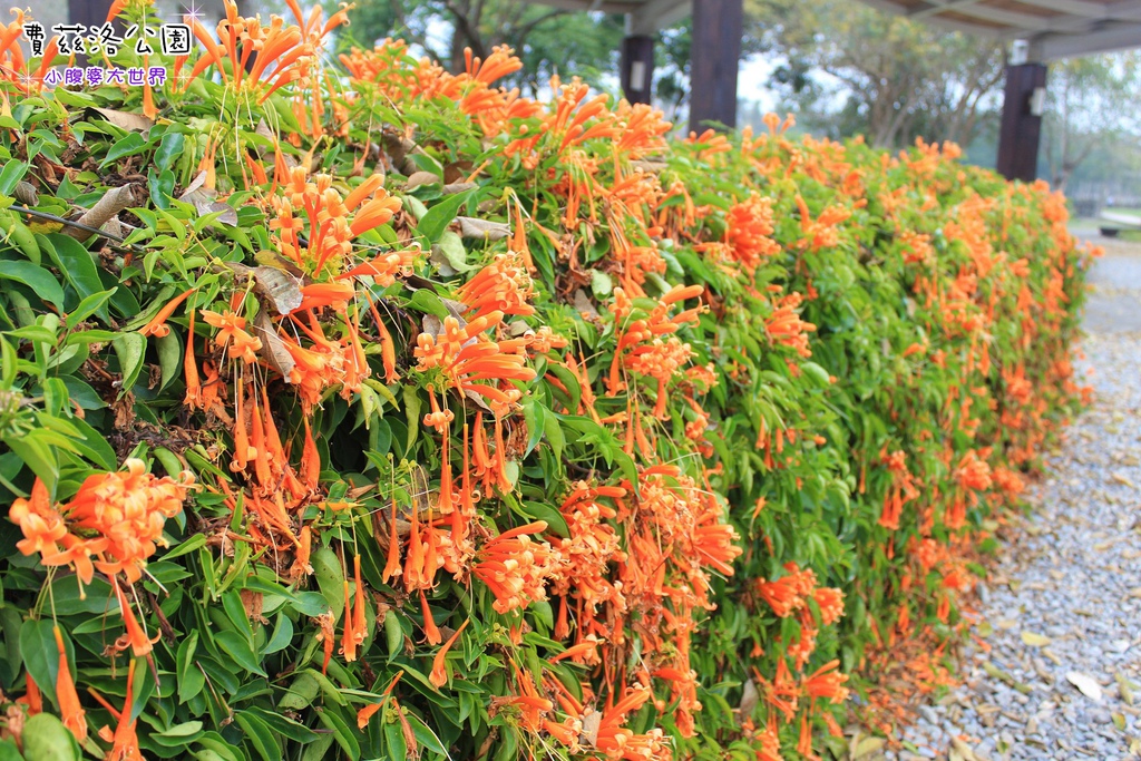 照片 195.jpg 照片 195.jpg