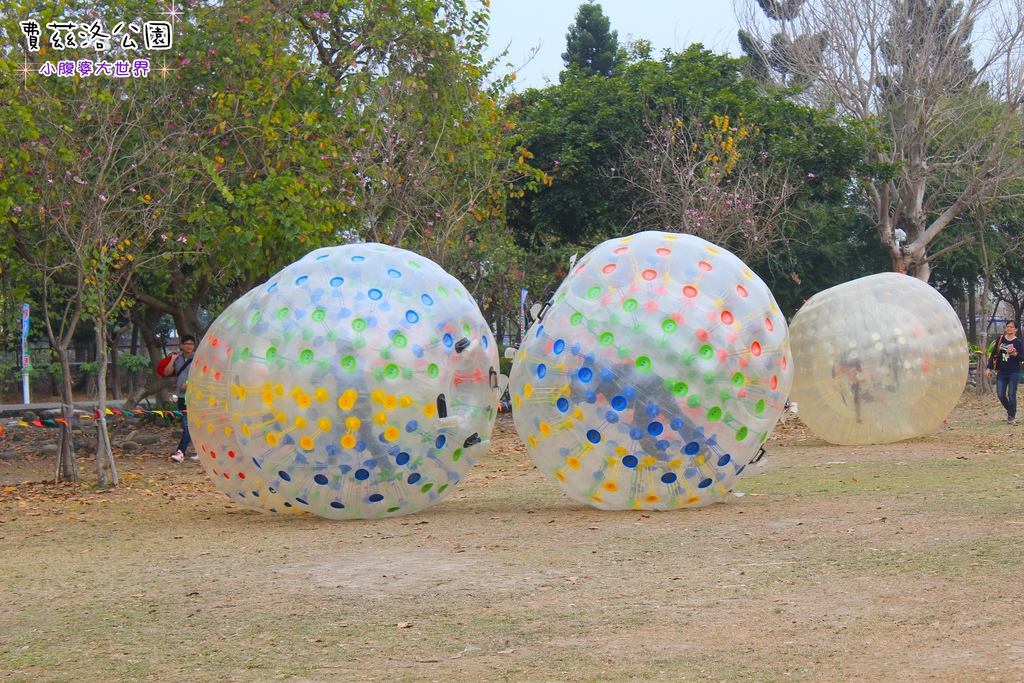 照片 310.jpg 照片 310.jpg