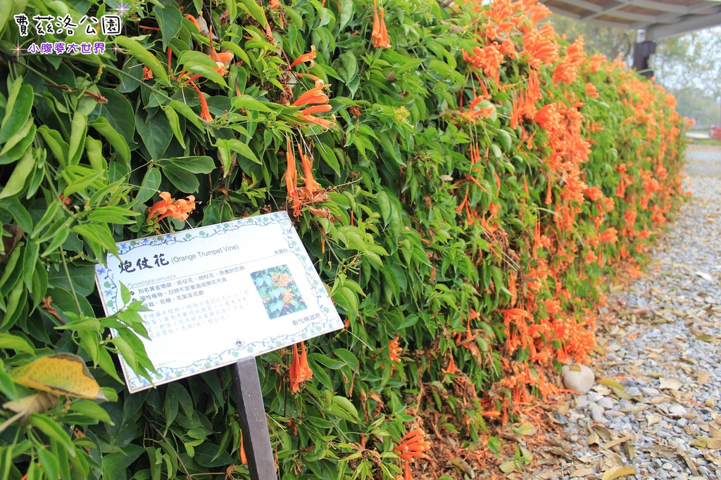 照片 194.jpg 照片 194.jpg