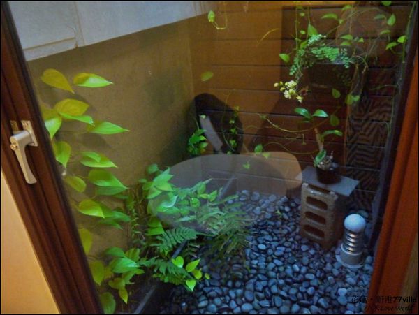 花蓮新港77villa民宿P1500307_調整大小1.JPG 花蓮新港77villa民宿P1500307_調整大小1.JPG