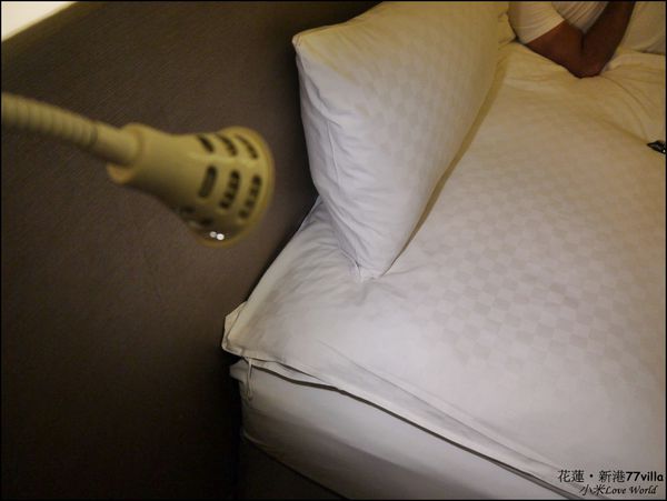 花蓮新港77villa民宿P1500312_調整大小1.JPG 花蓮新港77villa民宿P1500312_調整大小1.JPG