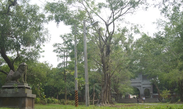 桃城好好玩 嘉義一日遊，嘉義公園、阿里山老火車、賑災紀念碑、12門古砲、有國徽的涼亭、孔廟與忠烈祠、嘉義市立棒球場