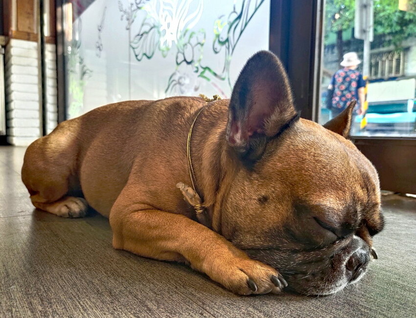 【台北】南機場夜市.從早吃到晚10間美食大匯集!線上餐點方便快速!