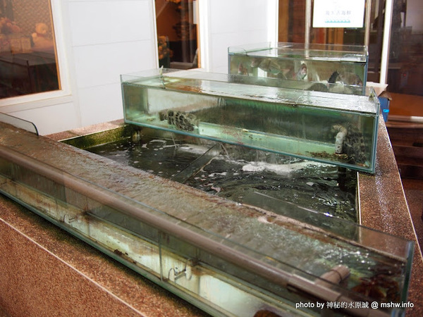 星時代風華會館：【食記】台中Star-Era 星時代風華會館.婚宴會館@西屯 : 桌菜體驗個人享受…與星星來個約會吧？