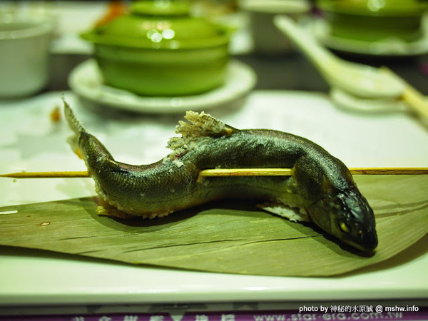 星時代風華會館：【食記】台中Star-Era 星時代風華會館.婚宴會館@西屯 : 桌菜體驗個人享受…與星星來個約會吧？