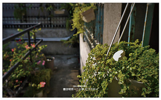 書店喫茶一二三亭-22