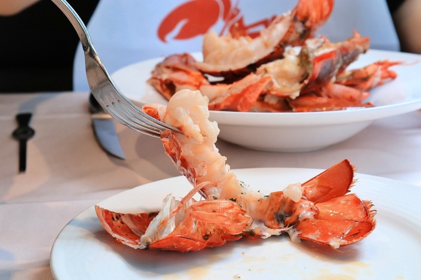 2019-10-03 02.10.47 2.jpg