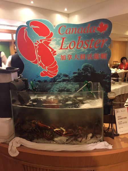 20160110 #2_9104.jpg