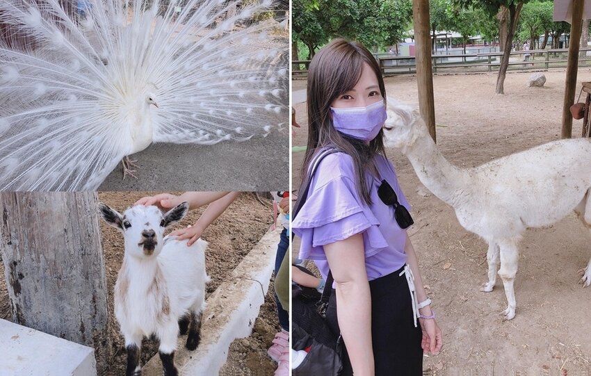 頑皮世界.jpg 頑皮世界.jpg