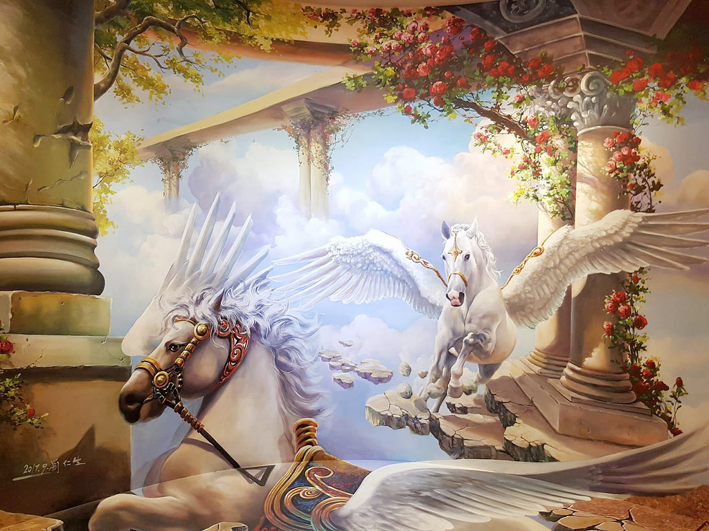 24140248_1764539523556686_914767525_o