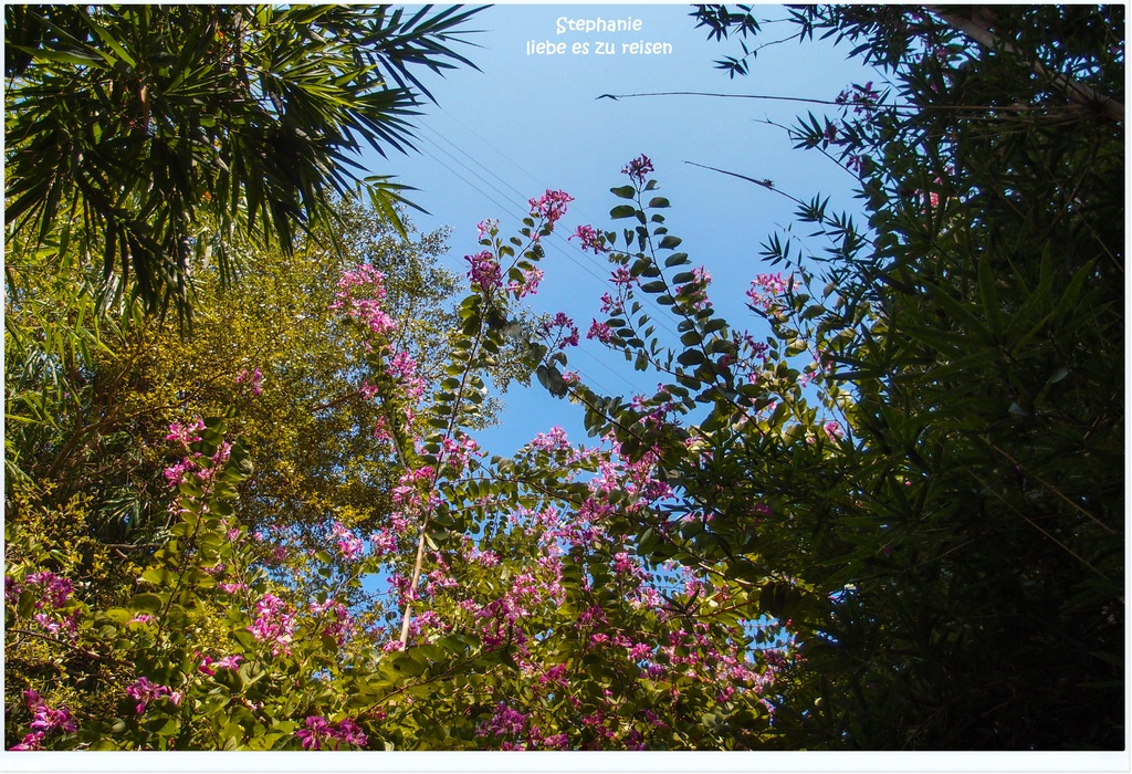 PC012800.jpg PC012800.jpg