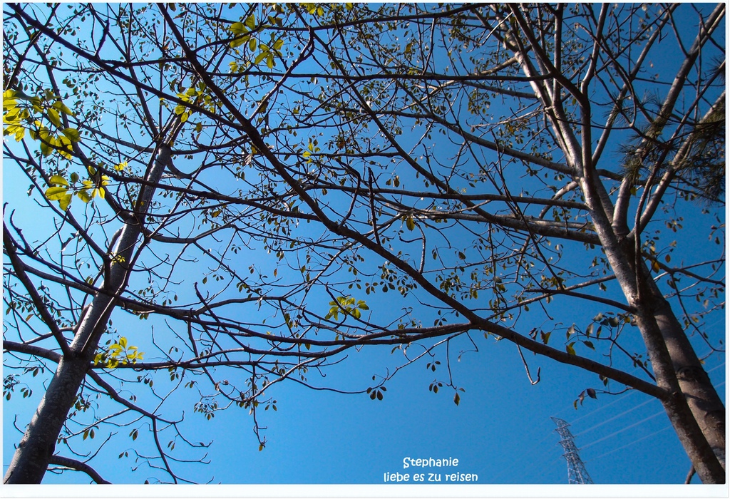 PC012783.jpg PC012783.jpg