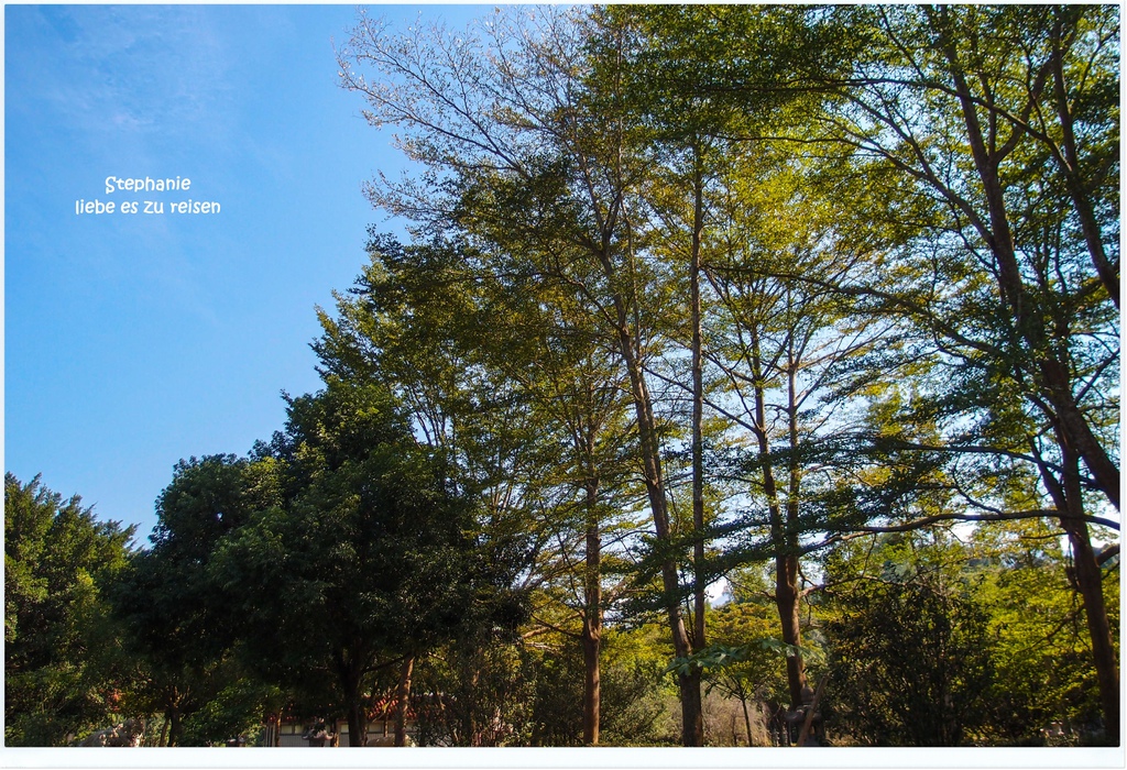 PC012724.jpg PC012724.jpg