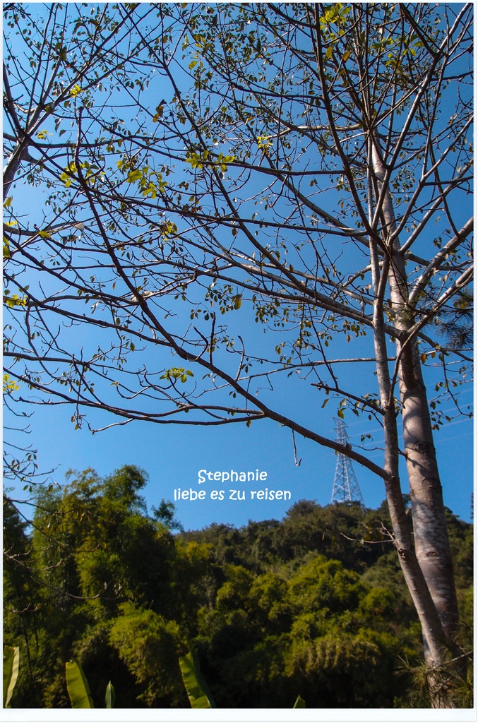 PC012785.jpg PC012785.jpg