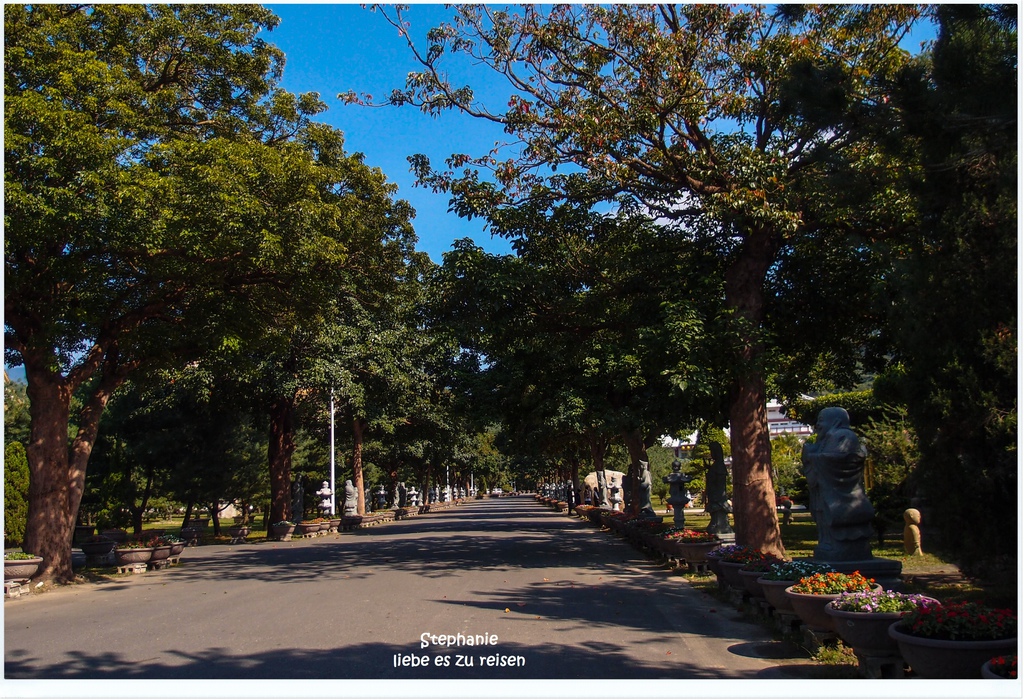 PC012818.jpg PC012818.jpg