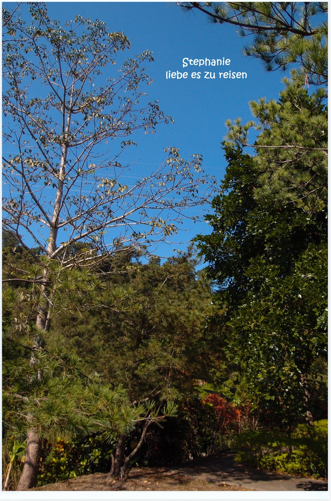 PC012780.jpg PC012780.jpg