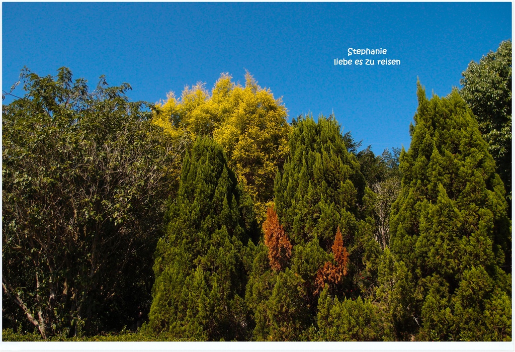 PC012701.jpg PC012701.jpg