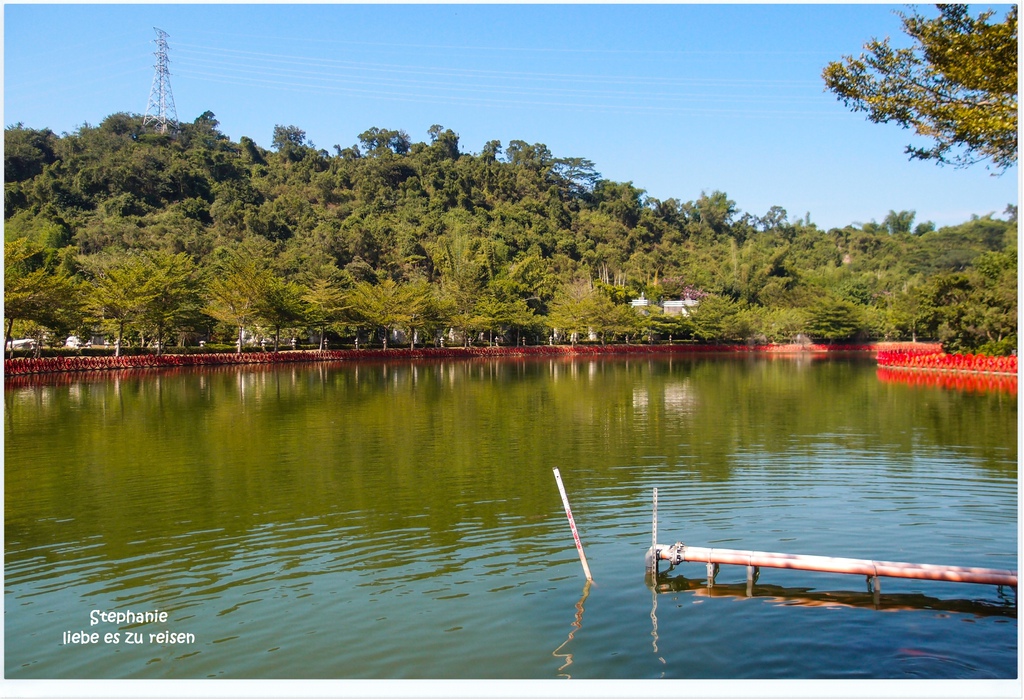 PC012731.jpg PC012731.jpg