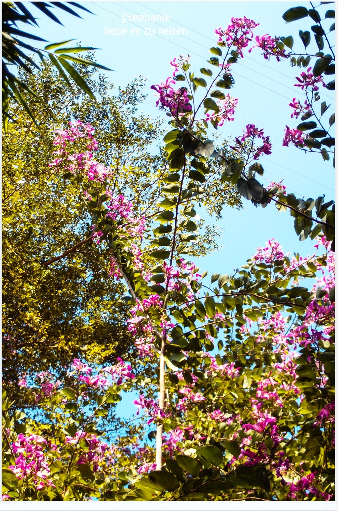 PC012803.jpg PC012803.jpg