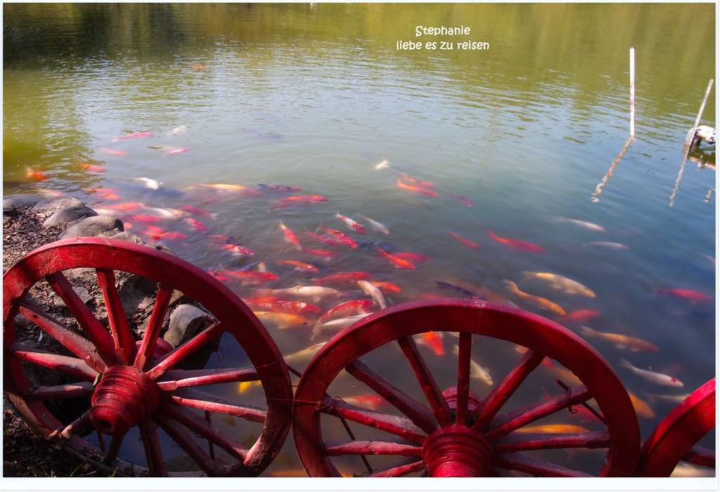 PC012726.jpg PC012726.jpg