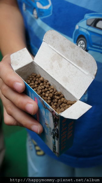 2015.07.25 嘉義水上白人牙膏觀光工廠將軍府(10).JPG