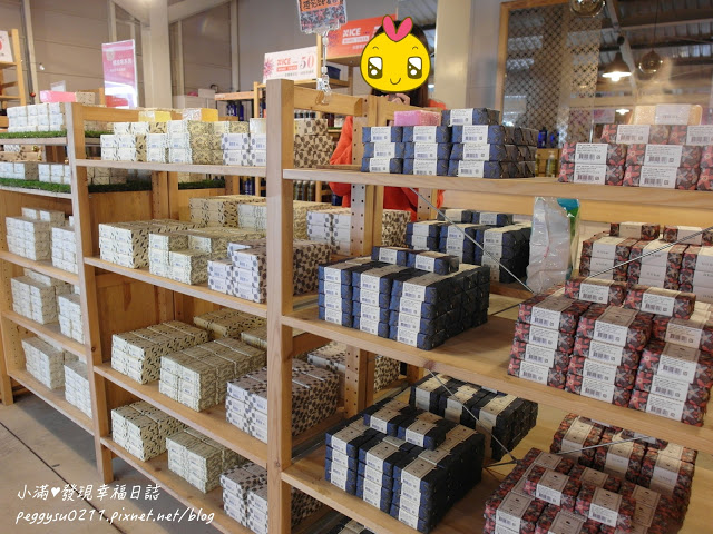 (雲林景點) 蘿莎玫瑰莊園Rosahill ❤ 古坑必遊!免入園費千株玫瑰芬芳滿園童話般的夢幻世界