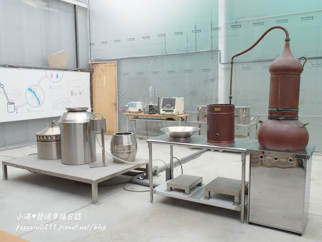 (雲林景點) 蘿莎玫瑰莊園Rosahill ❤ 古坑必遊!免入園費千株玫瑰芬芳滿園童話般的夢幻世界